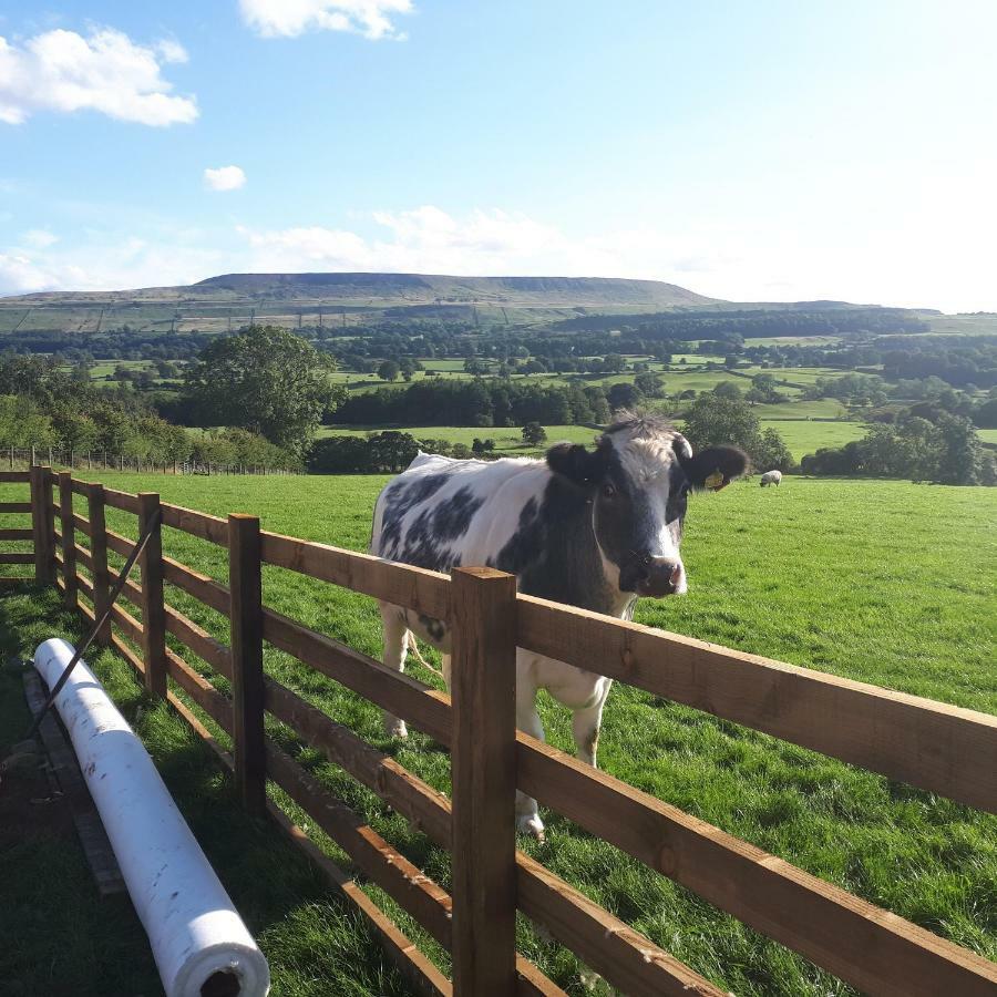 Campsite Wensleydale Glamping Pods Redmire