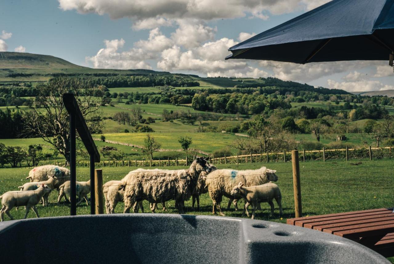 Campsite Wensleydale Glamping Pods